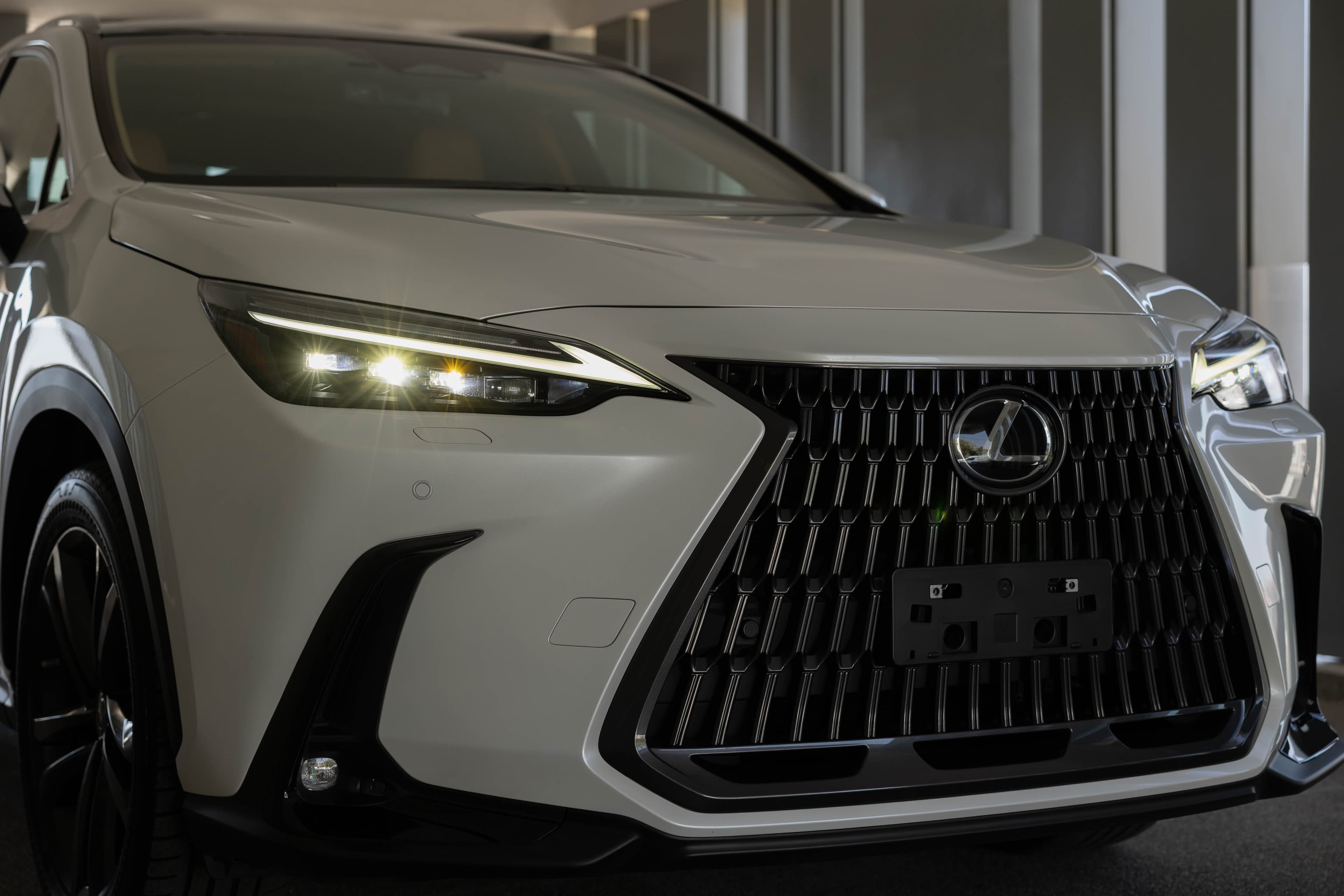 Lexus NX350h - Exterior